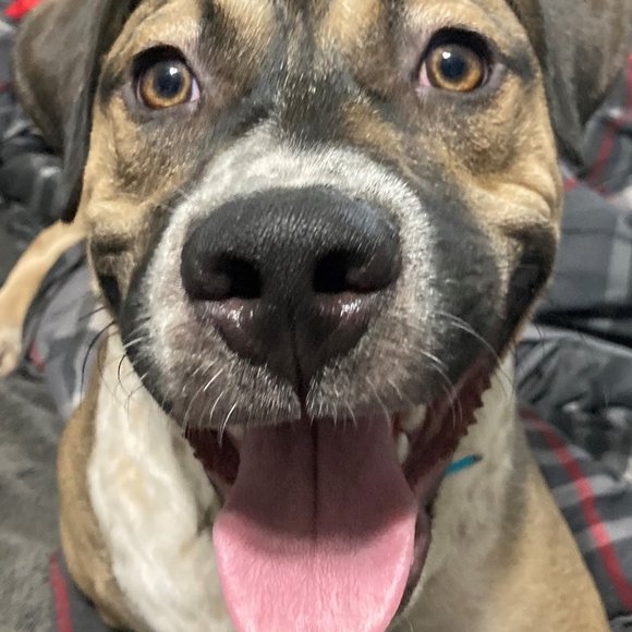 Meet your Posher, Doll - Picture 9 of 16